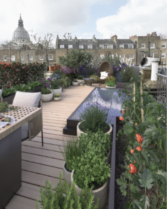London Mews Roof Garden